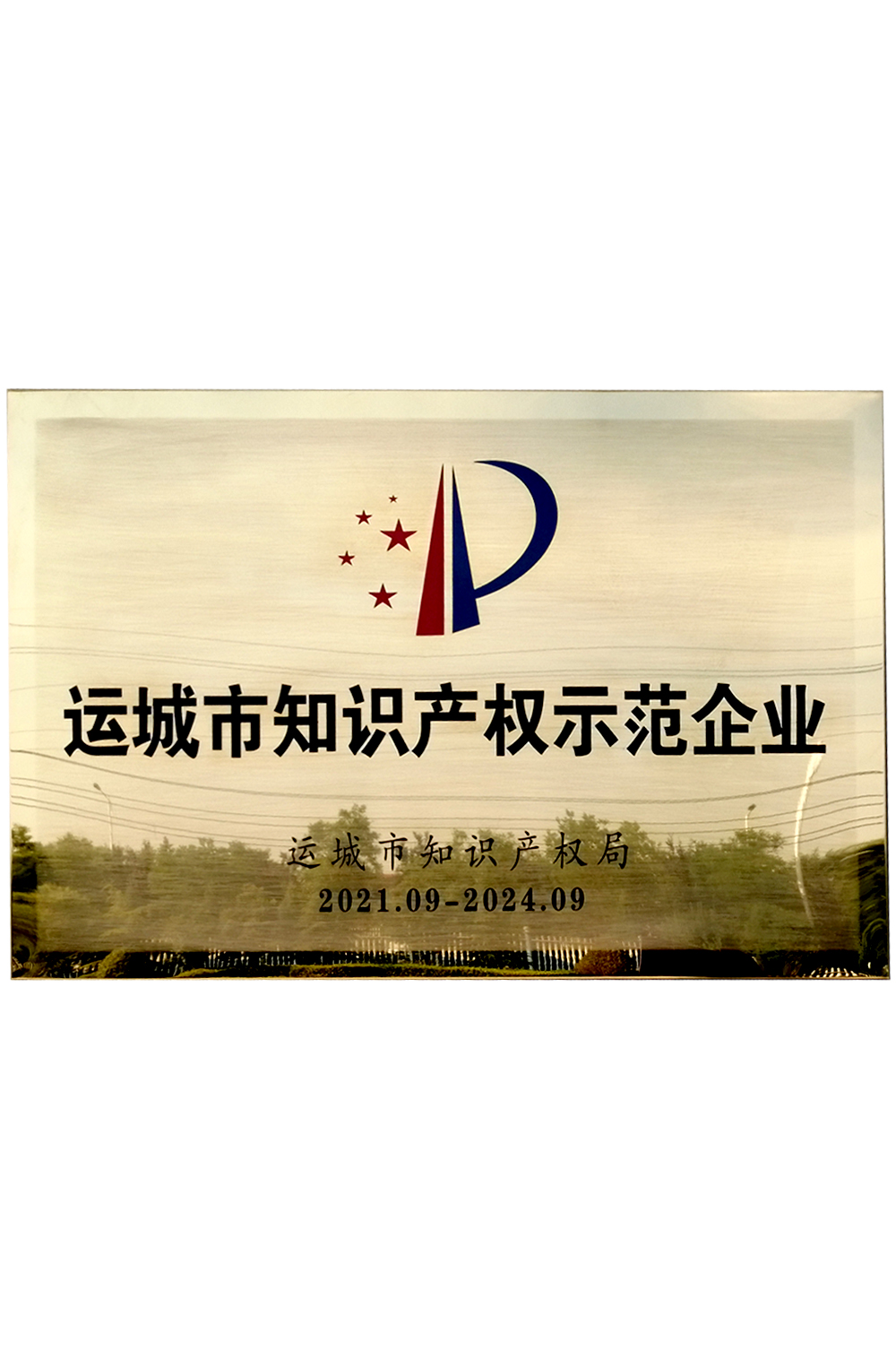 运城市知识产权示范企业